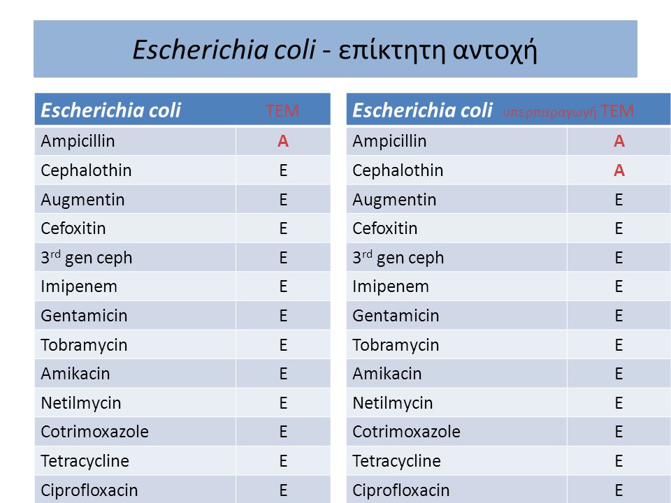 escherichia coli gravidanza augmentin